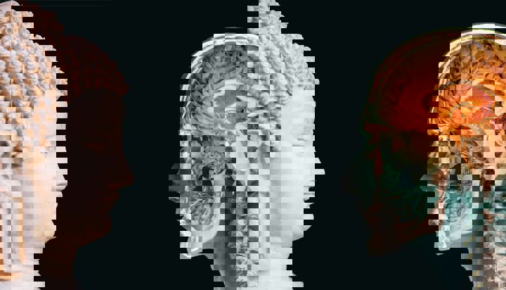 Buddhabrain