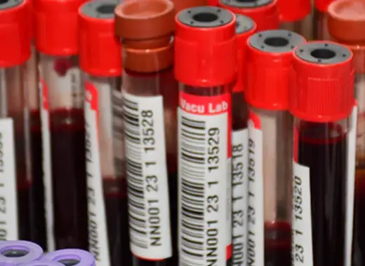 Blood Donation 2024